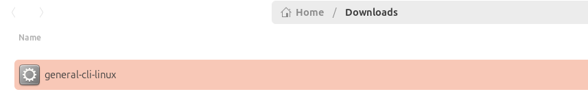 The downloaded General CLI file in the Downloads folder.